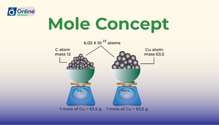 Lesson 10: Mole Concept